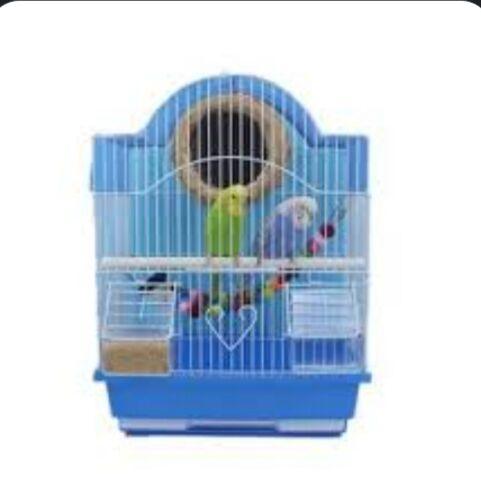 Kletklarmyz+ popugay guslarmyz - Aşgabat - img 1