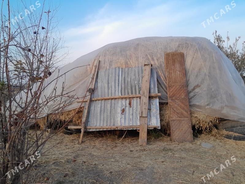 Ỳorunja arassa - Мургап - img 1