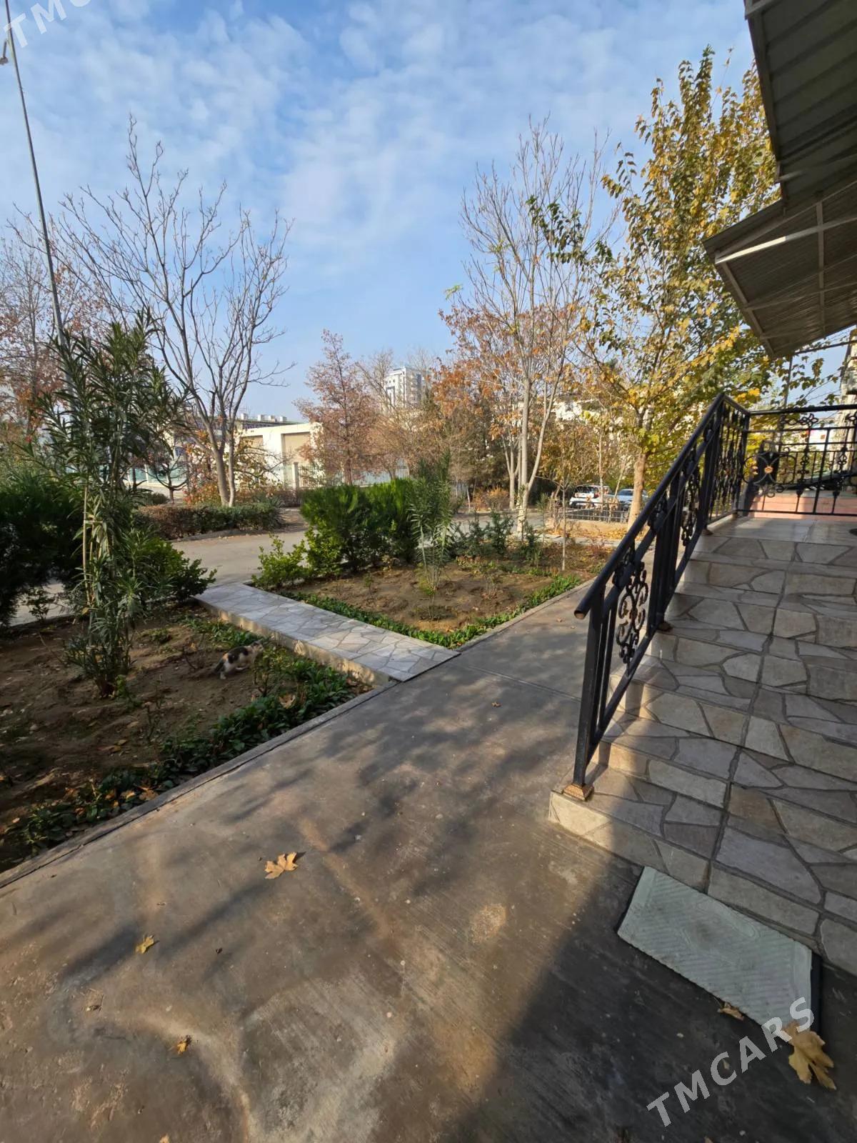 SATLYK JAYLAR - Aşgabat - img 1