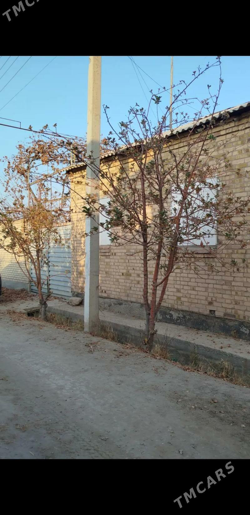 дача жай дом ховлы жай - Туркменабат - img 1