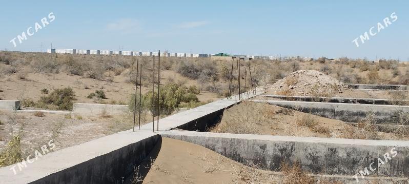 Mellek ýer - Çärjew - img 1