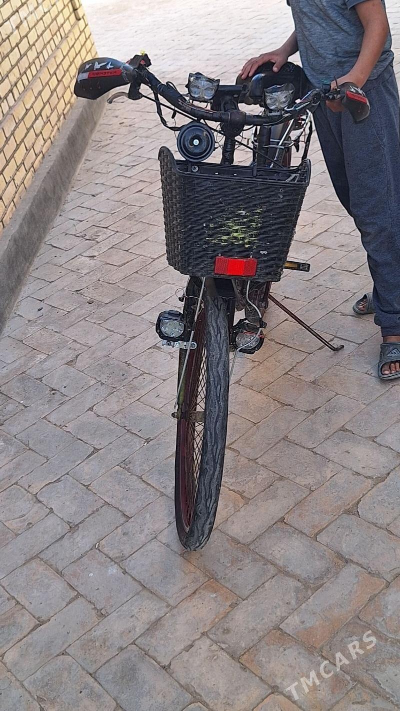 Tiger - Ýolöten - img 1