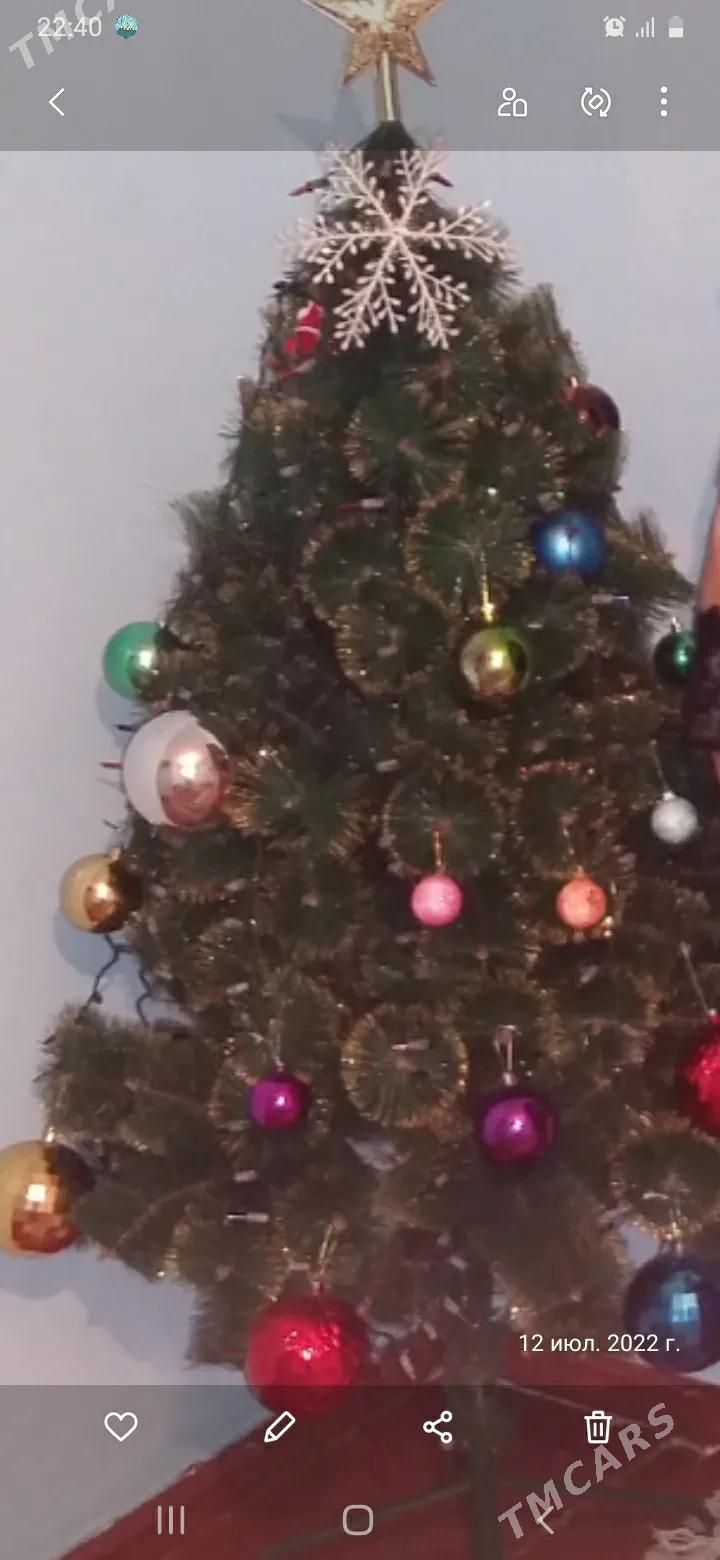 елка - Балканабат - img 1