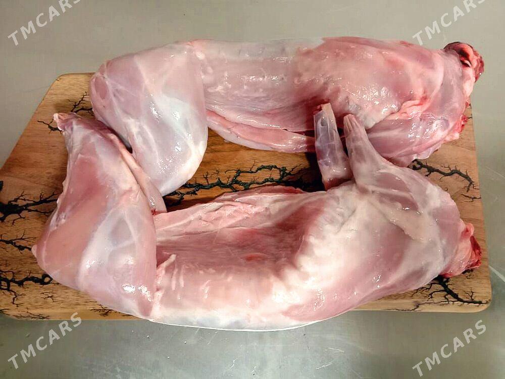 дикий кролик - Farap - img 1