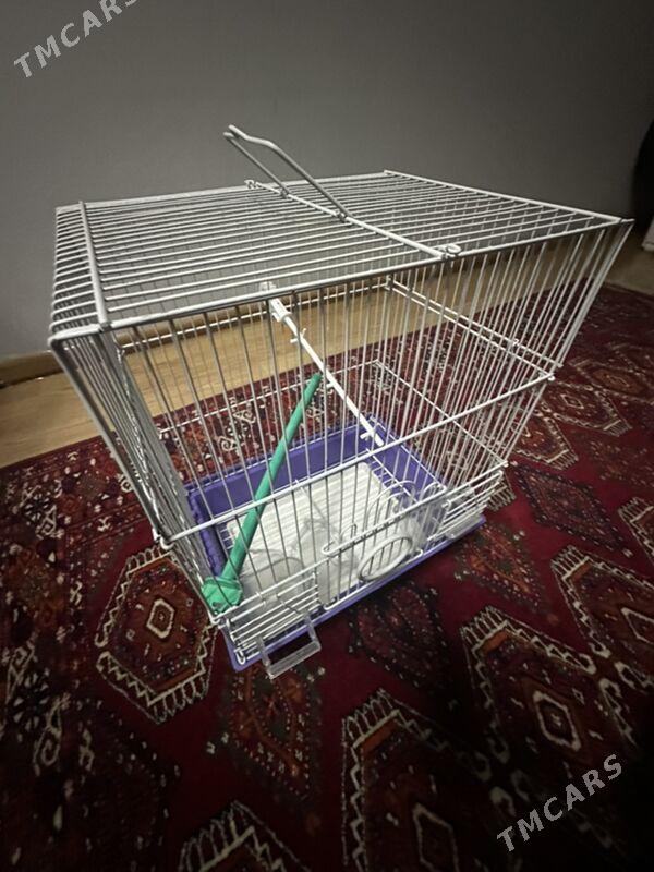 kletka popugay - Ашхабад - img 1