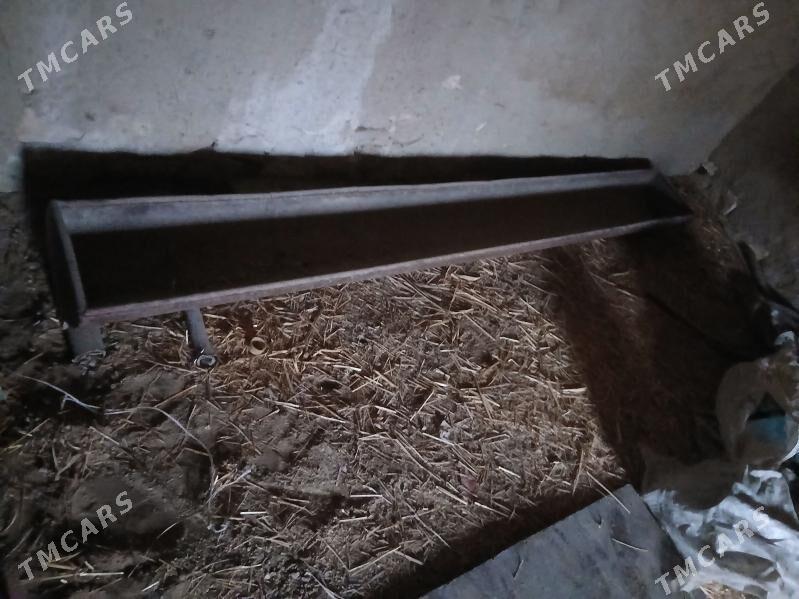 Ahyr - Jebel - img 1