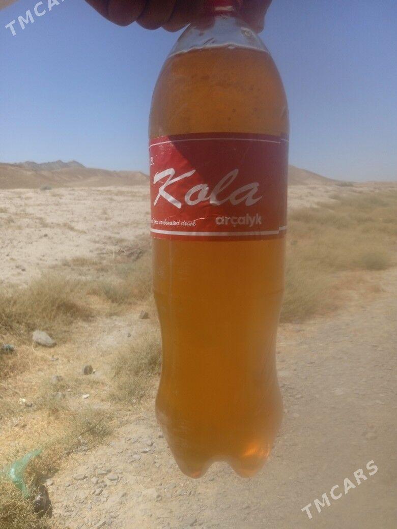 ary bal - Бахарден - img 1