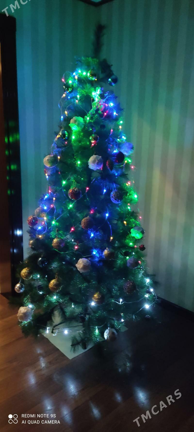 yolka ёлка 2.10 - Ашхабад - img 1