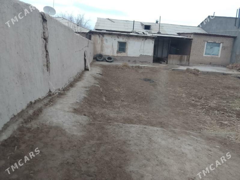 jayy satylyar - етр. Туркменбаши - img 1