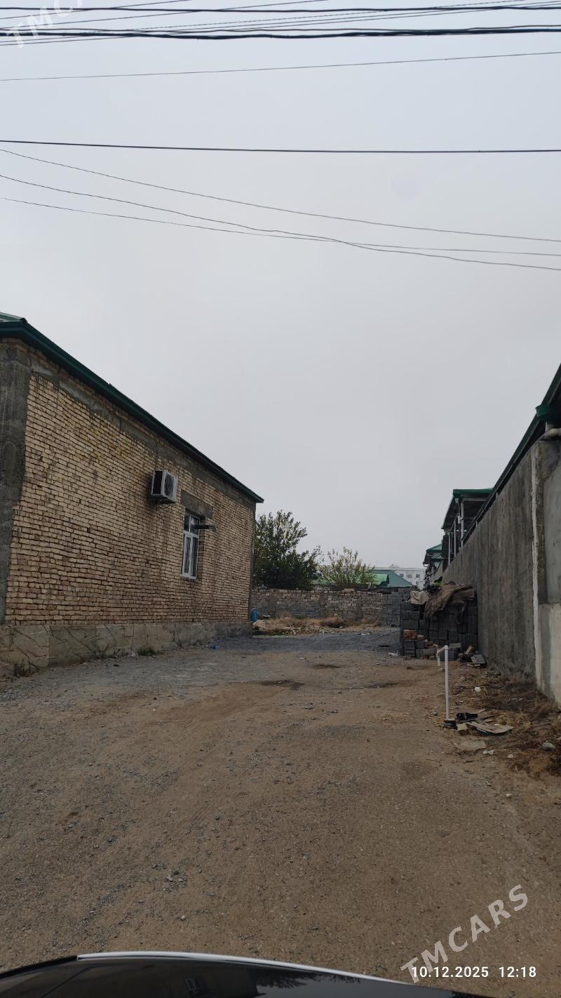 ANEW 10 DONY ASAGY 10 SOTUK - Änew - img 1