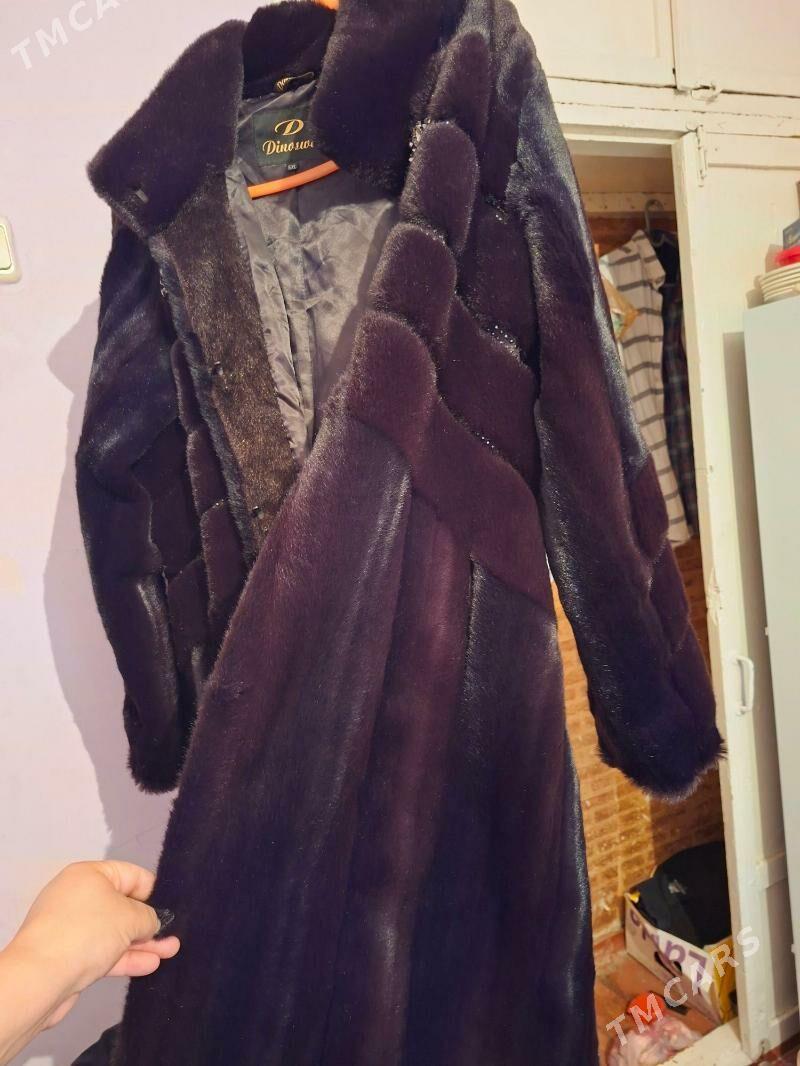 suba - Daşoguz - img 1