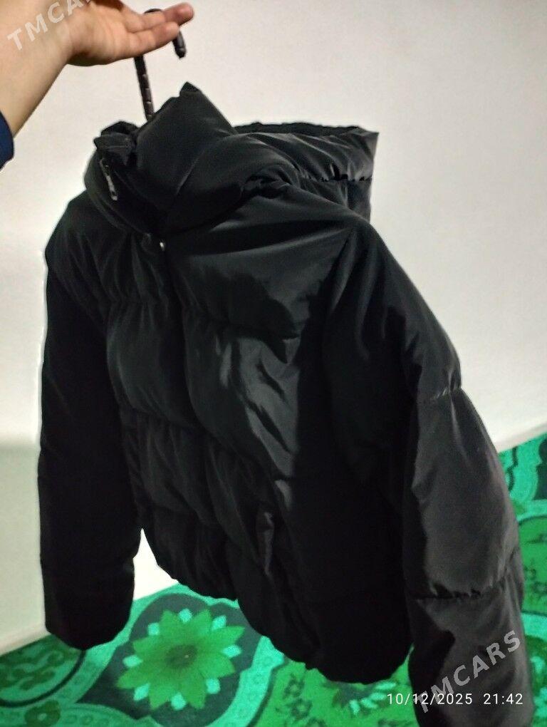 Zara kurtga - Саят - img 1