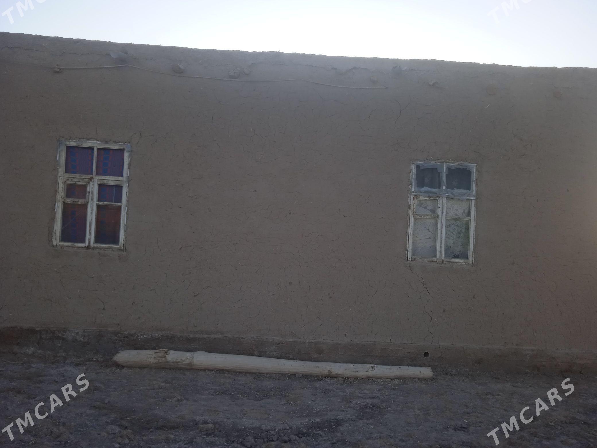 pylan jay - Köneürgenç - img 1