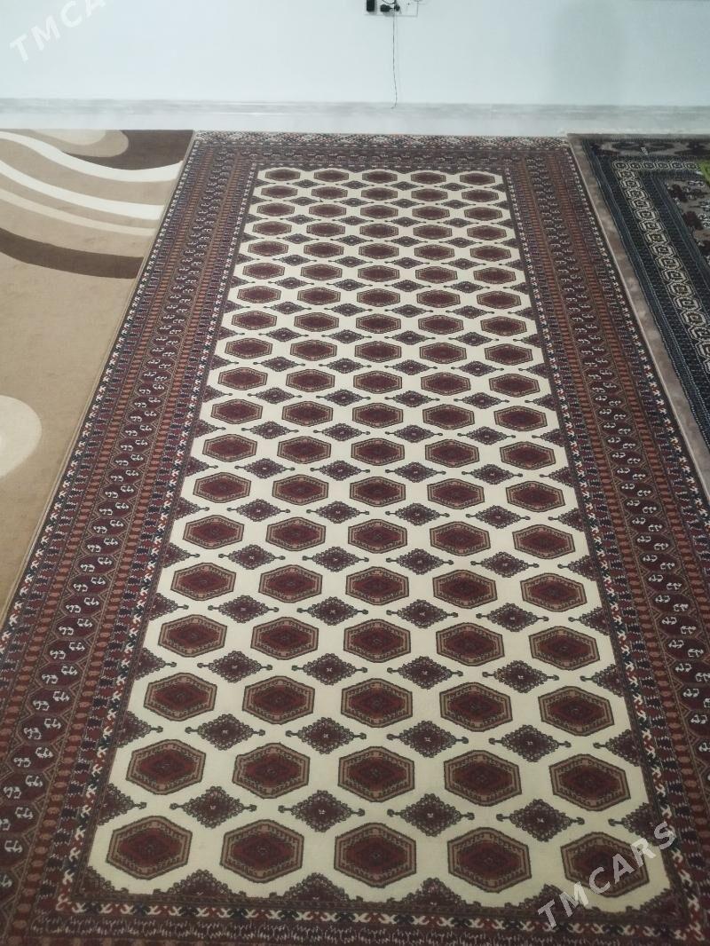 haly 2,5/5 - Balkanabat - img 1