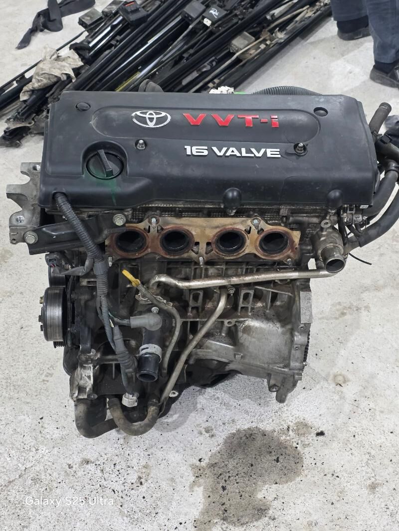 mator 2.4 angar morda 11 000 TMT - Mary - img 1