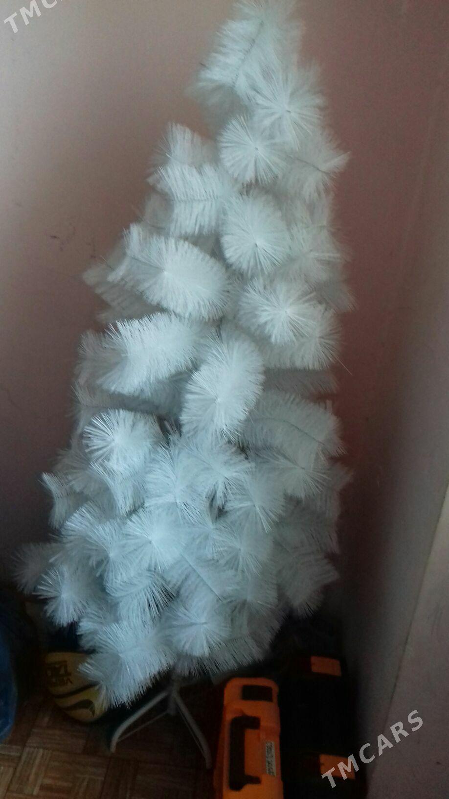 ýolka - Aşgabat - img 1