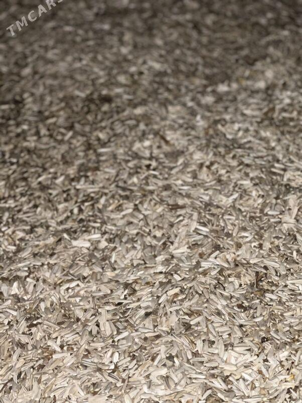 Çigit günebakar - Ашхабад - img 1