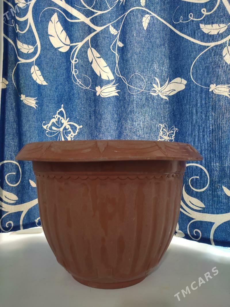 garşok - Ашхабад - img 1