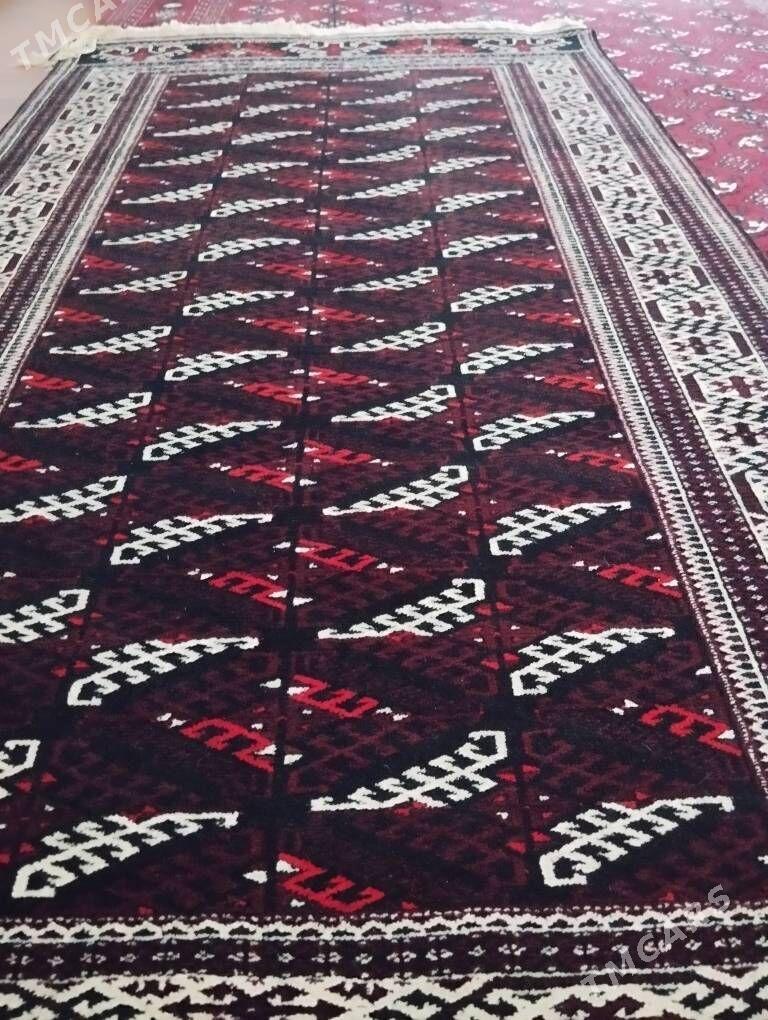 Haly - Гызыларбат - img 1