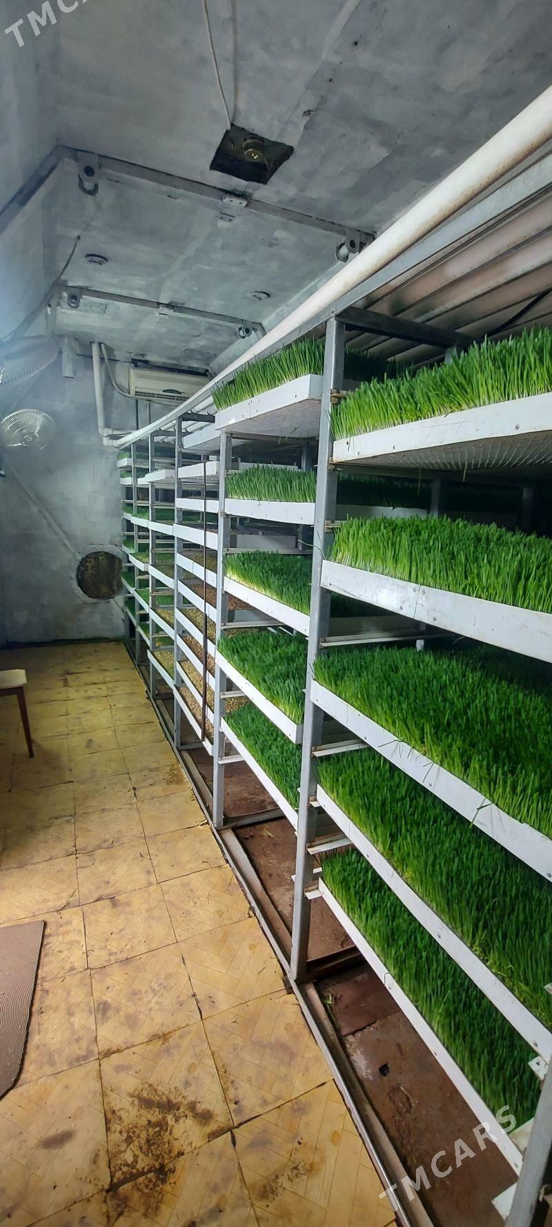 aparat gidropolnik - Чоганлы - img 1