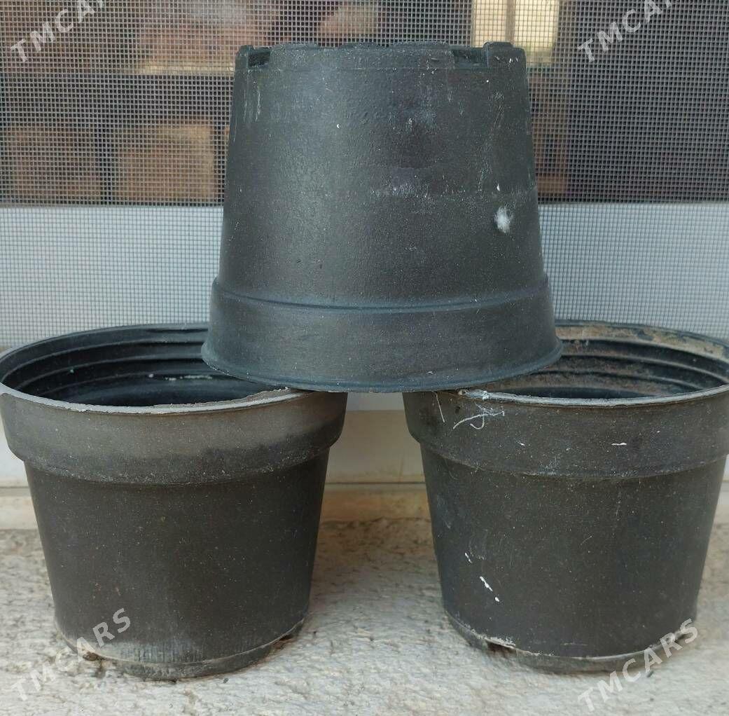 🟣🟢 ГОРШКИ для Цветов 🟠 - Aşgabat - img 1