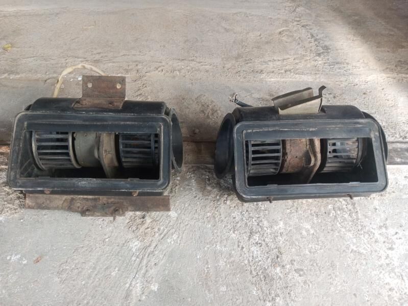 Donuz kelle zil zapcastlar 200 TMT - Гумдаг - img 1