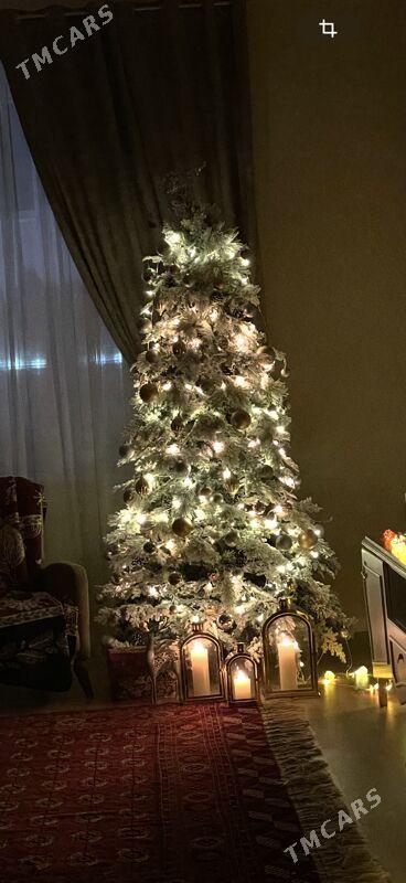 елка - Aşgabat - img 1