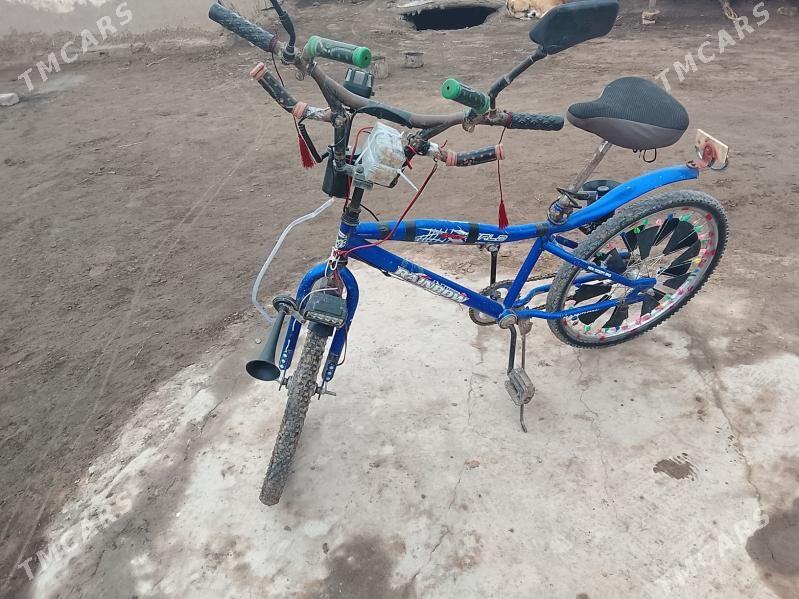 Tigir rainbo - Köneürgenç - img 1