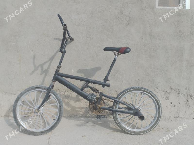 tigir - Ак-Бугдайский этрап - img 1