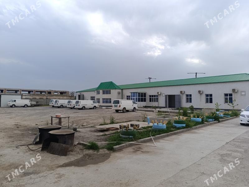 Satlyk seh konditer - Ашхабад - img 1