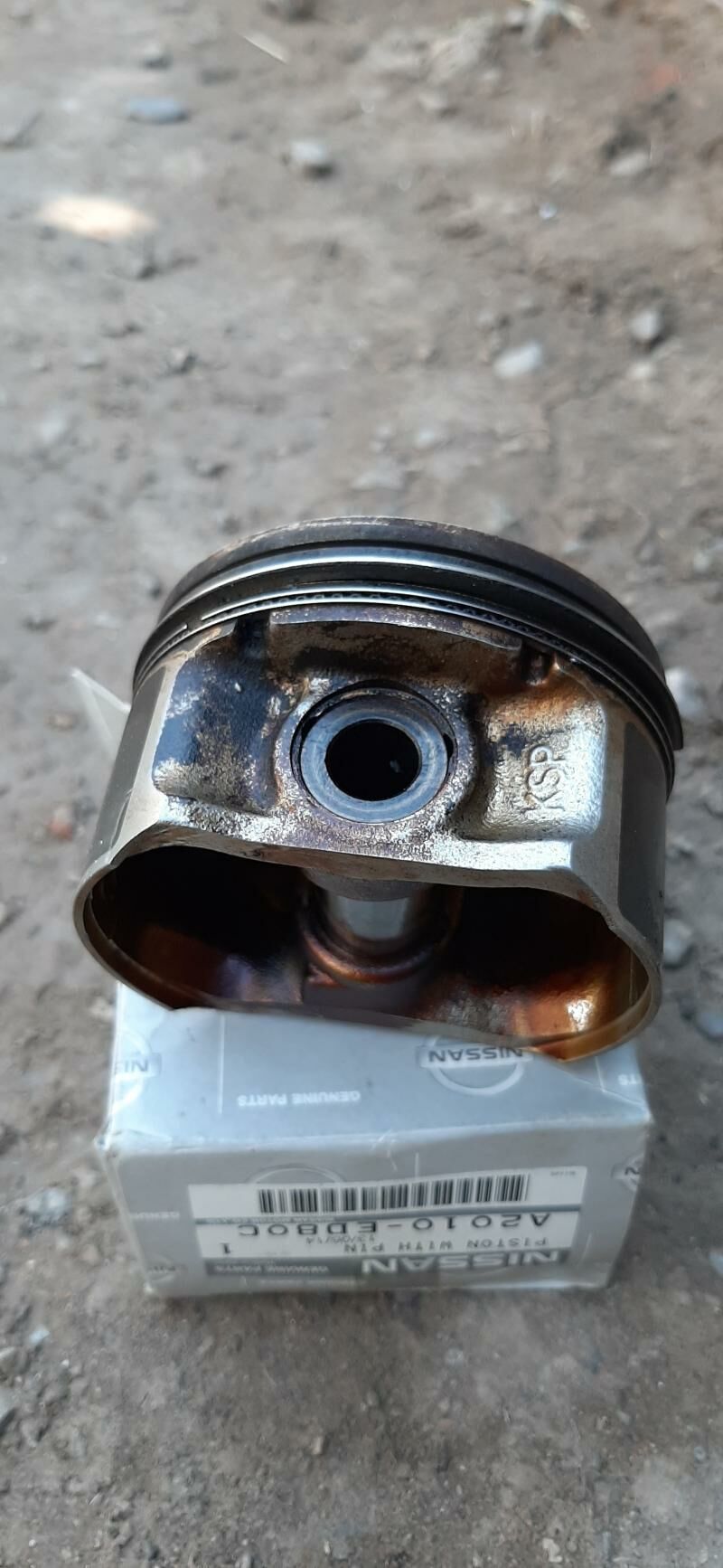 porsen nissan 300 TMT - Daşoguz - img 1