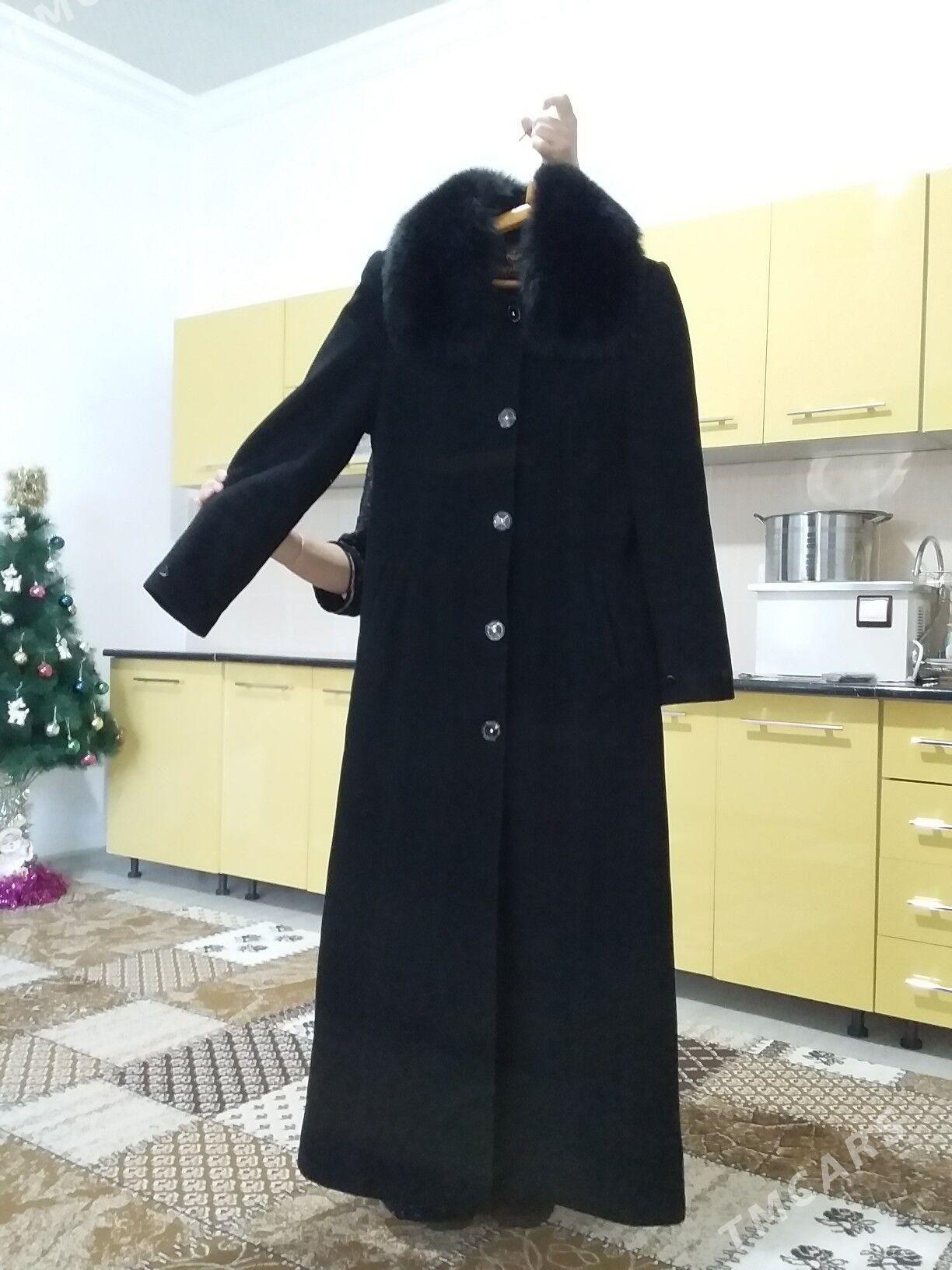 palto - Jebel - img 1