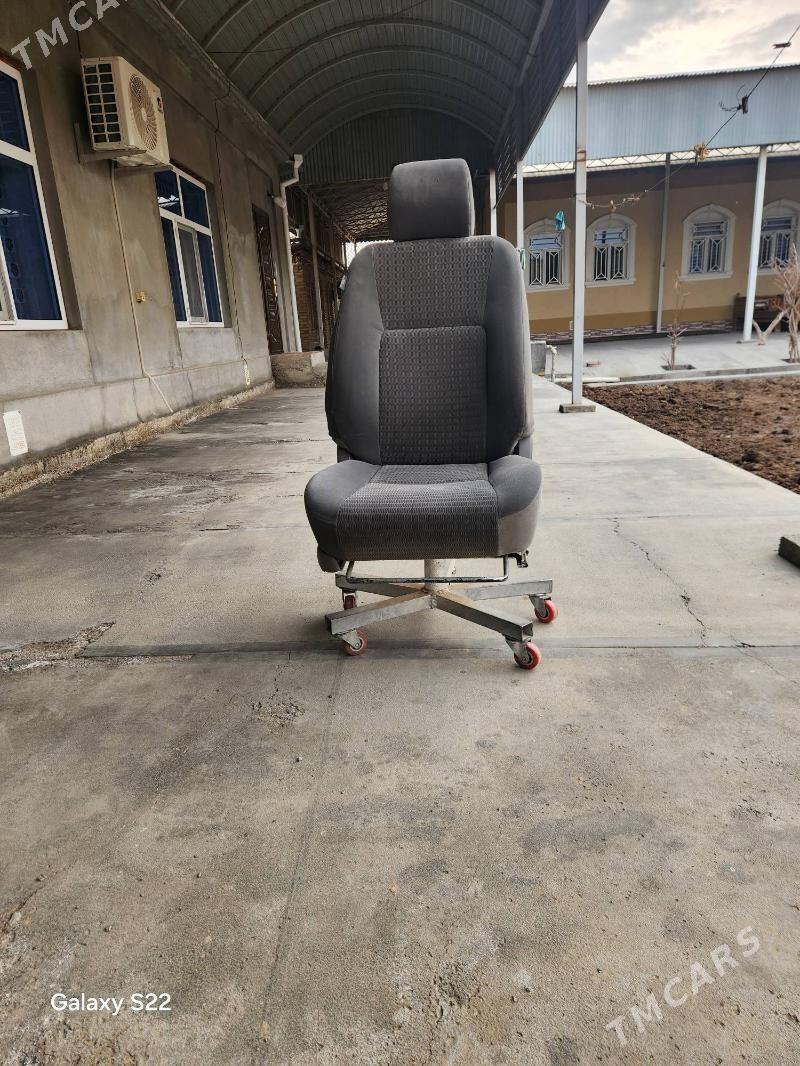 sdenya - Mary - img 1