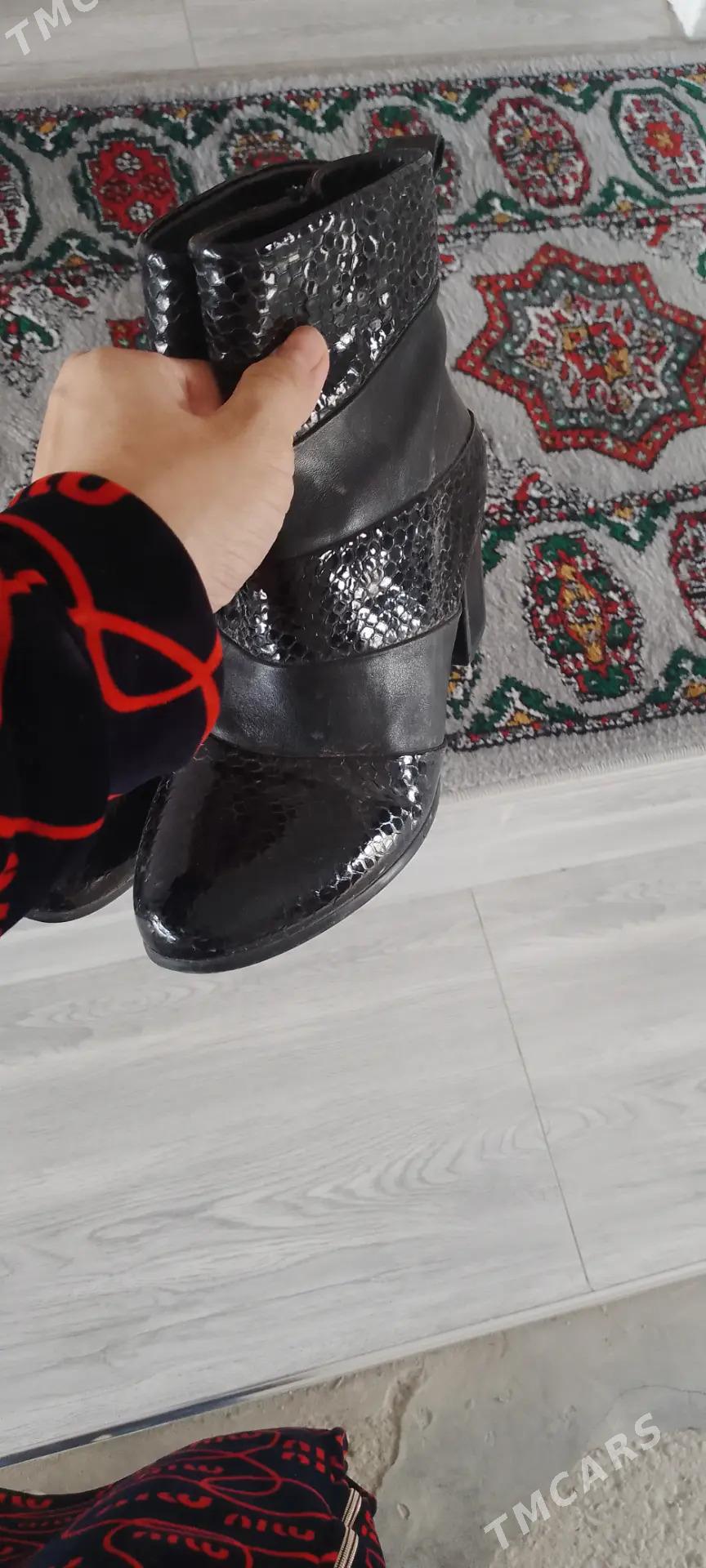 ädikler - Türkmenabat - img 1