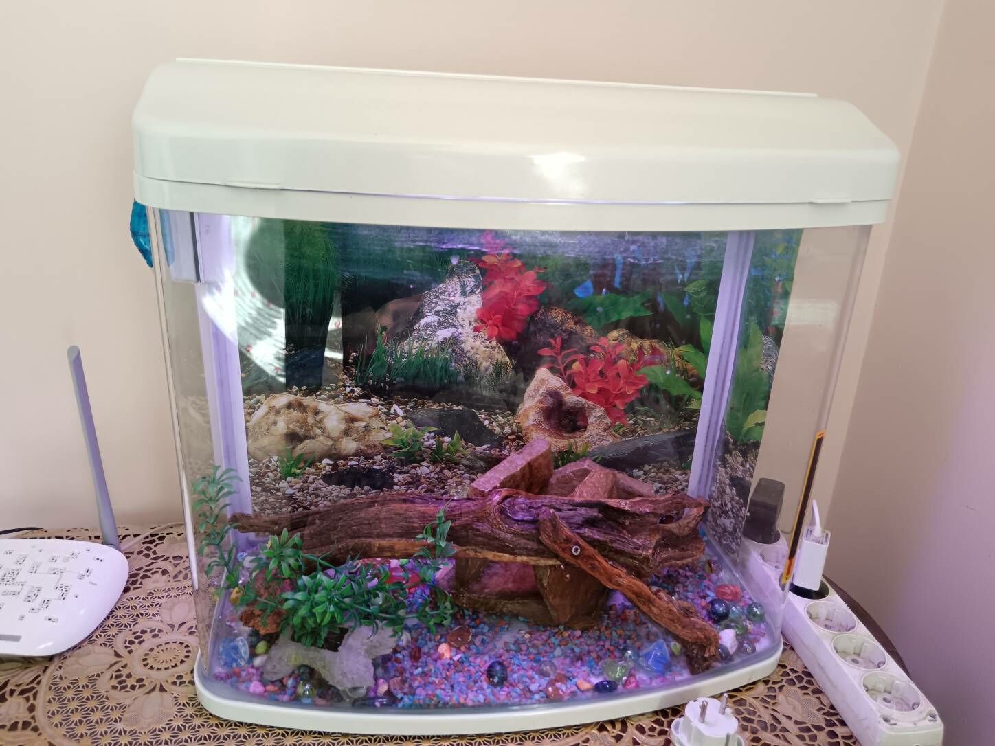 Akwariyum 40 litr ak zawodskoy - Багир - img 1