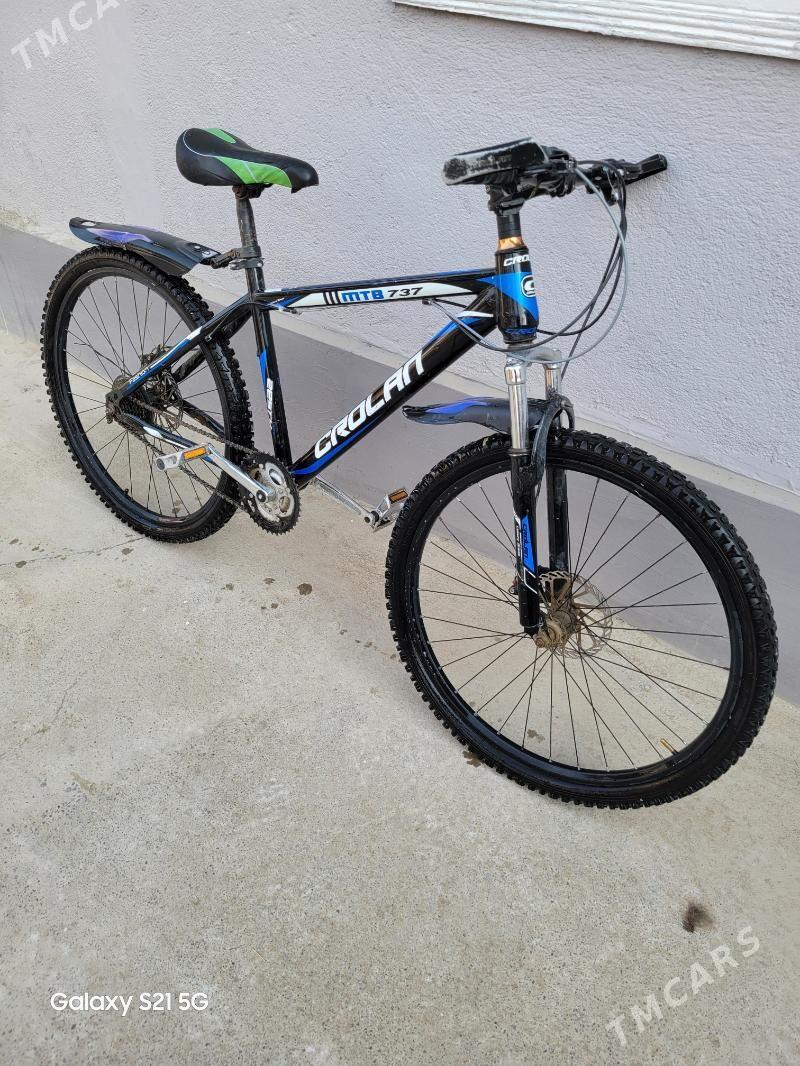 tıgır krolan 26 lyk - Gökje - img 1