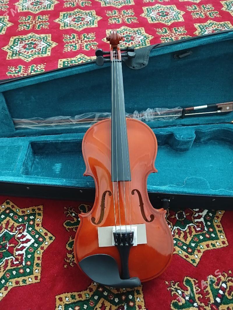 Skripka/скрипка - Дашогуз - img 1