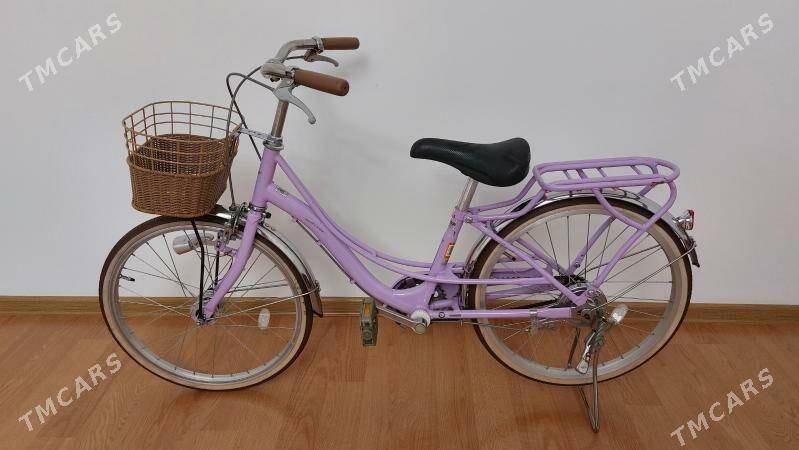 Tigir welisoped - Çoganly - img 1