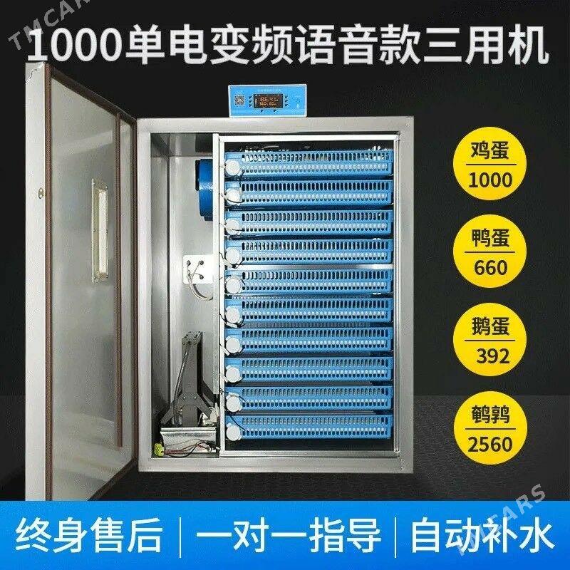 incubator - Ашхабад - img 1