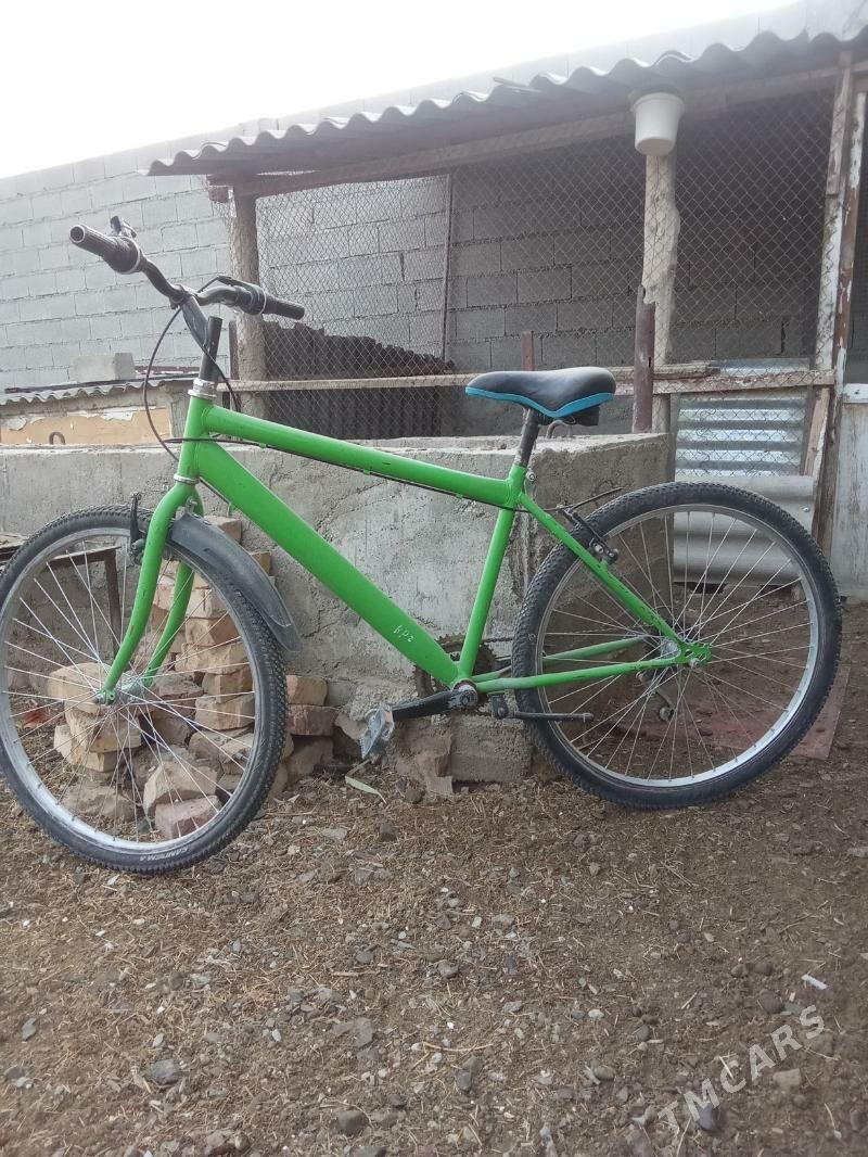 tigir - Бахарден - img 1