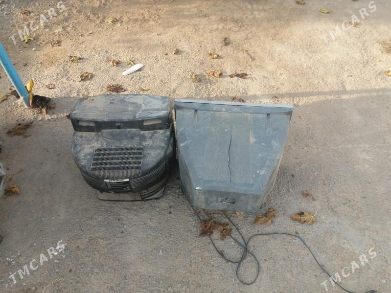 telewizir - Херрикгала - img 1