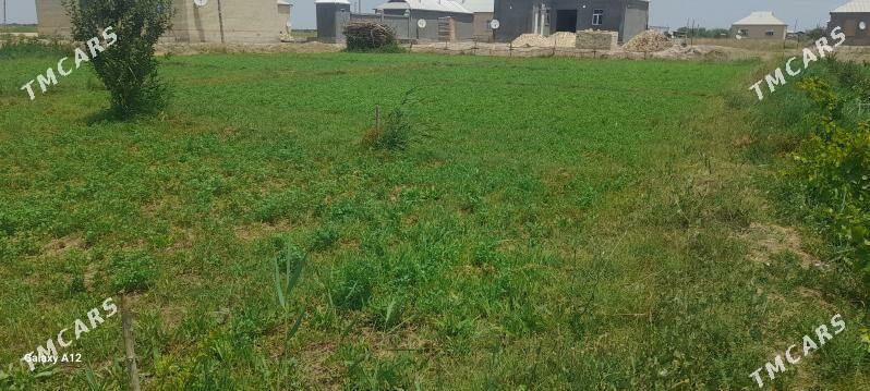 меллек - Байрамали - img 1