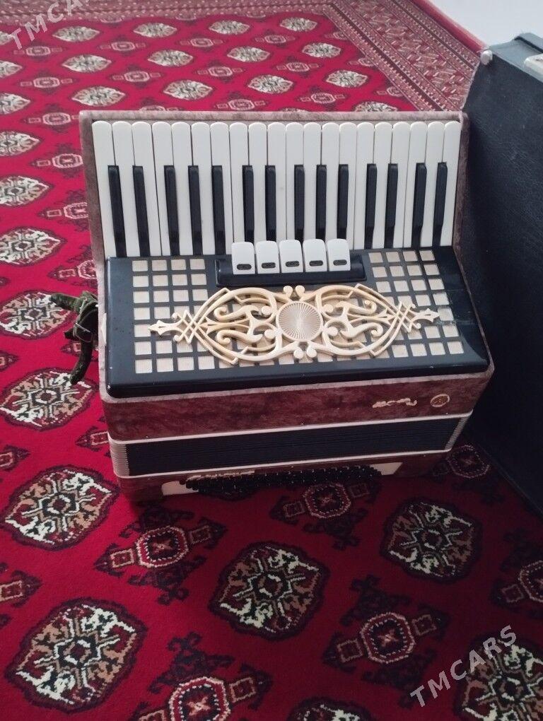 akordion - Ёлётен - img 1