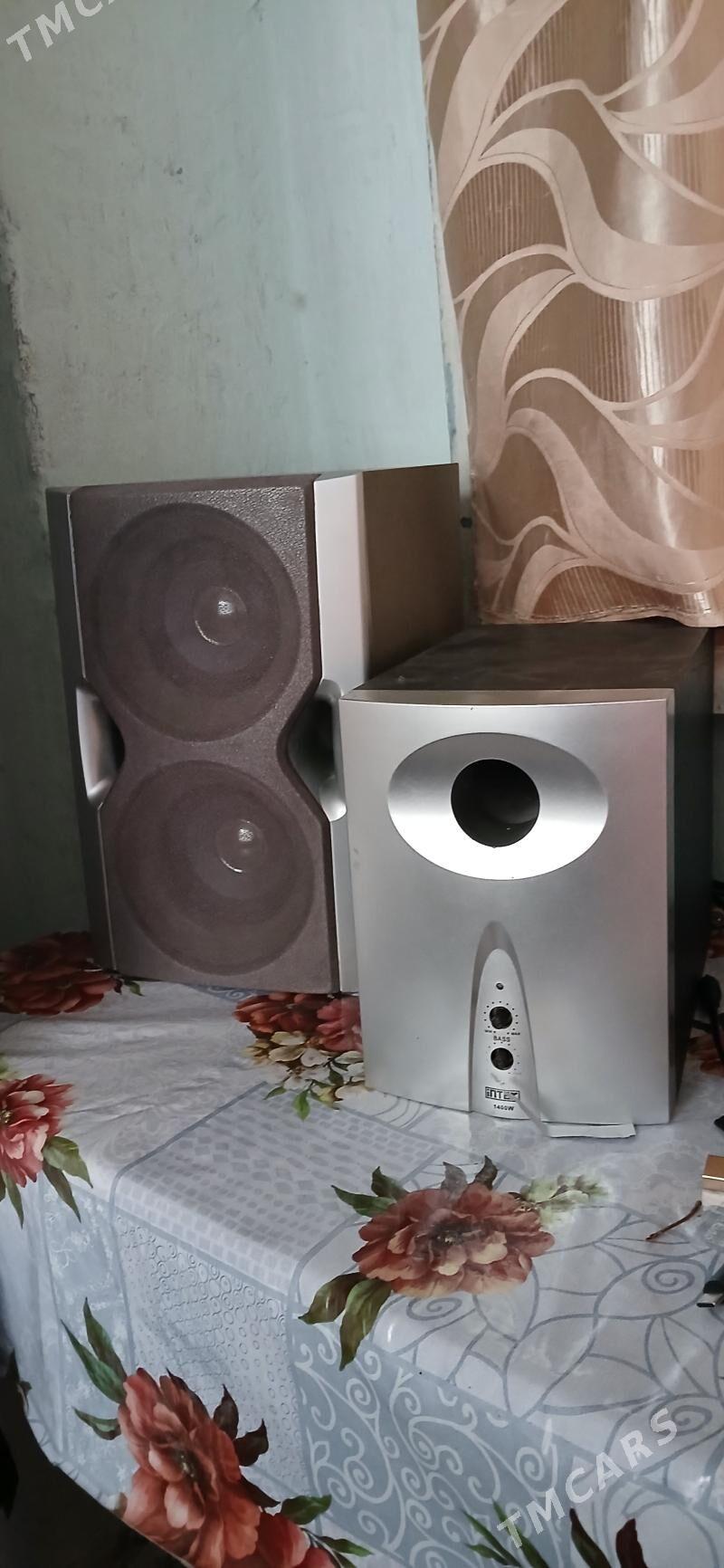 bass bocka kalonka - Туркменабат - img 1