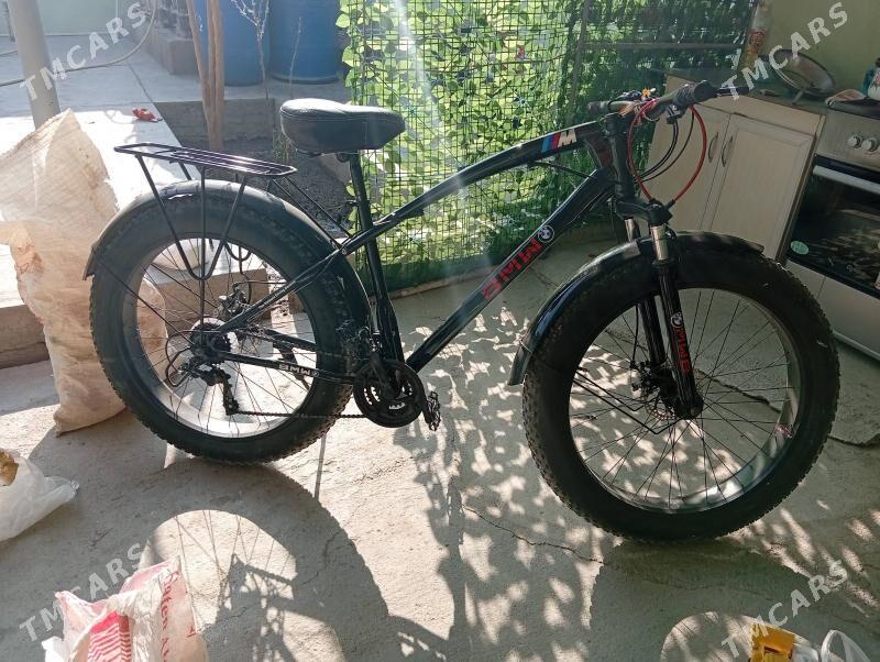 Tigir тигир - Änew - img 1