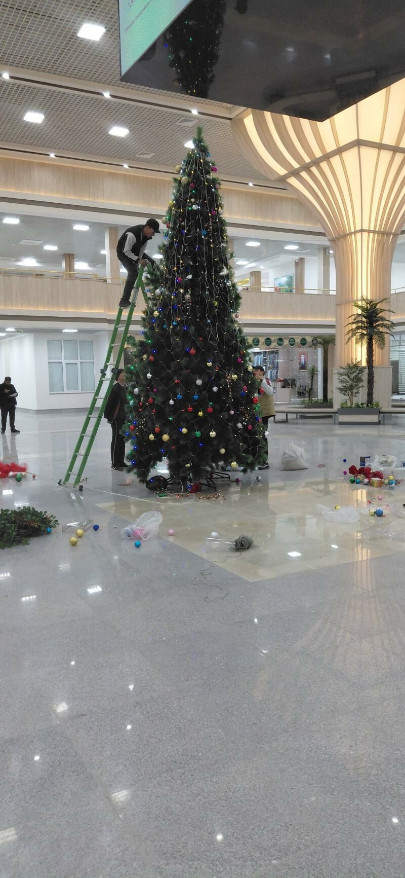 ёлки размер 5 метр - Daşoguz - img 1