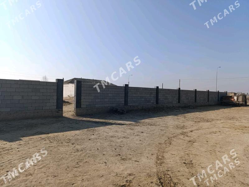 çoganly yer - Чоганлы - img 1