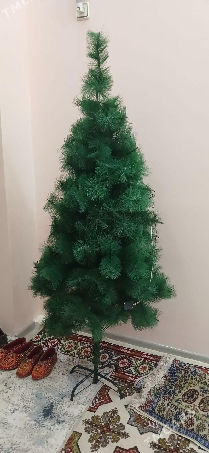 Arça (ÿolka) - Анев - img 1