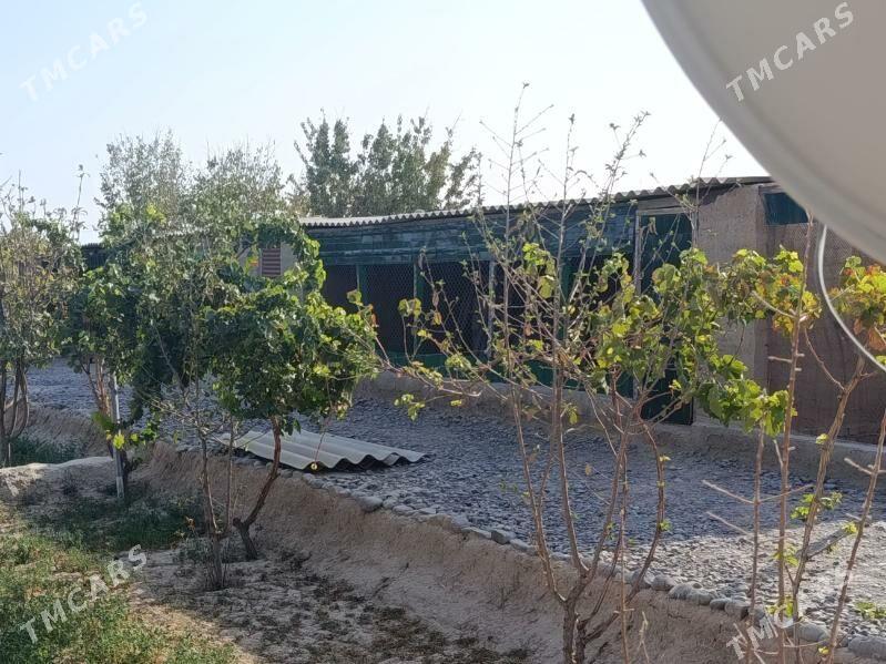 mellek jay - Кака - img 1