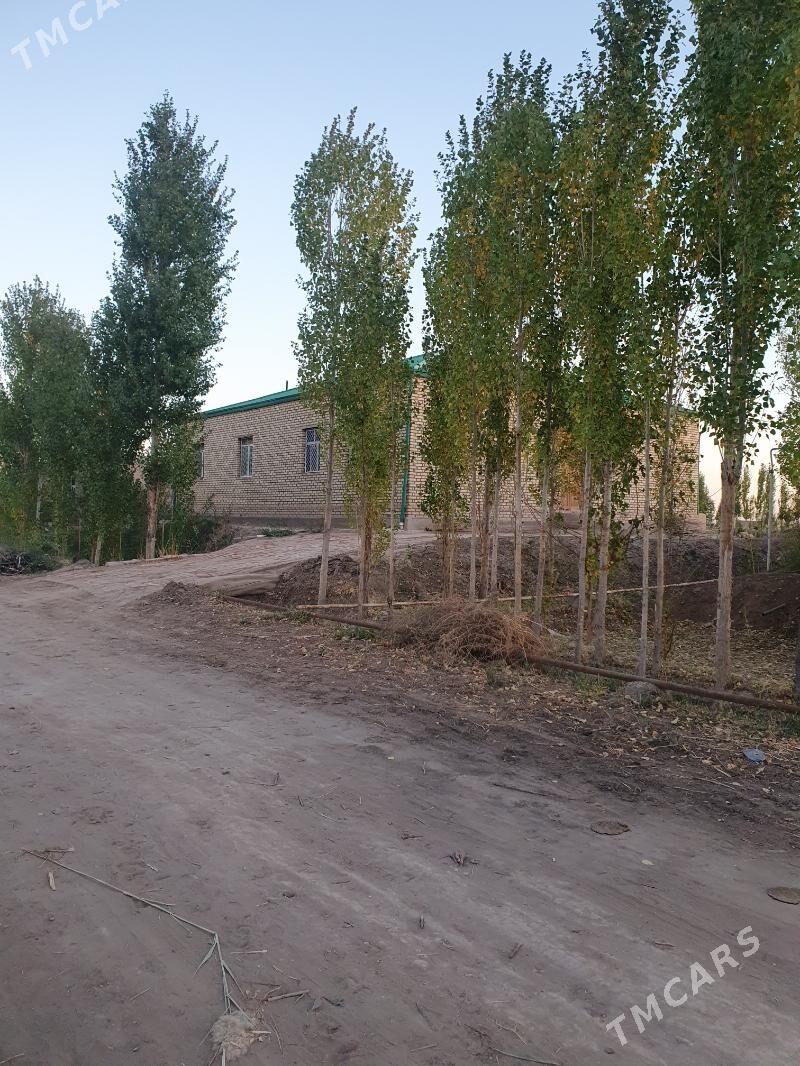 Jay satlyk - Görogly (Tagta) - img 1